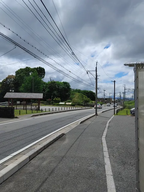 photo-1