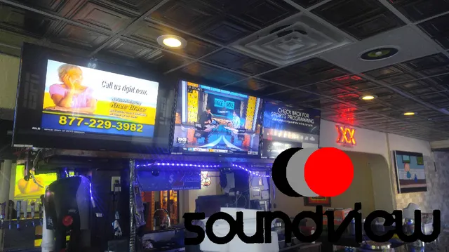SoundView Home Theater & Security Solutions