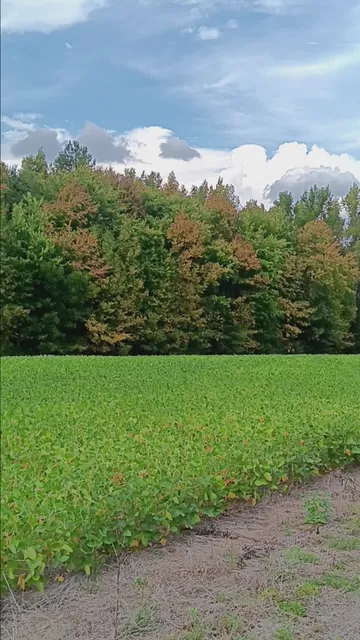 B & G Supply Company