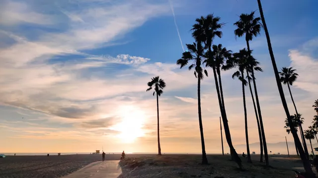 Venice Beach Walking Trail.
