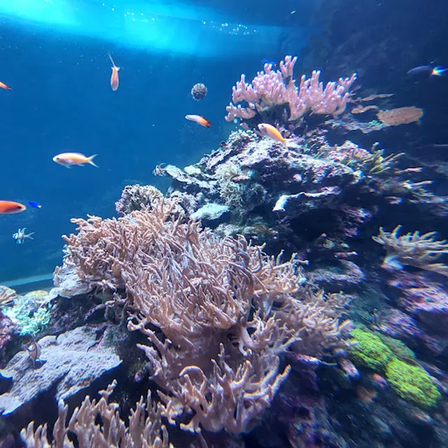 World Import Mart Bldg.