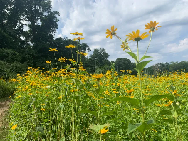 Avalon Hiking Trails