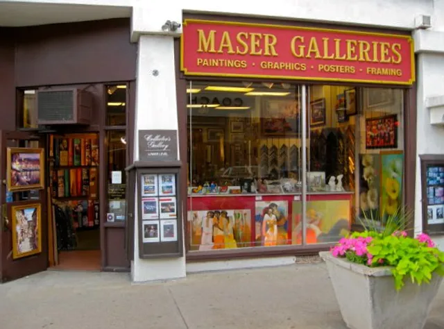 Maser Galleries
