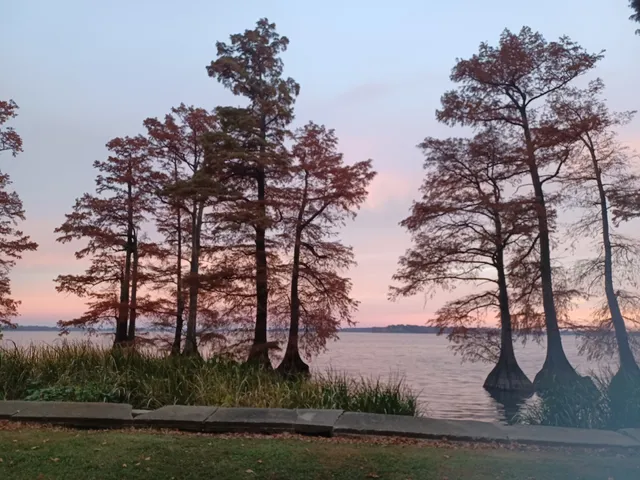 Reelfoot Lake State Park RV South Campground