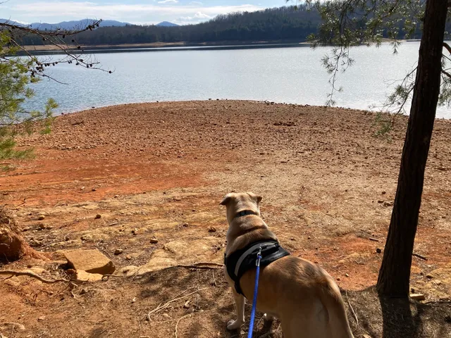 Lake Blue Ridge Day Use Area