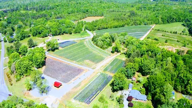 Freedom House Farm (and Coffee Trailer)