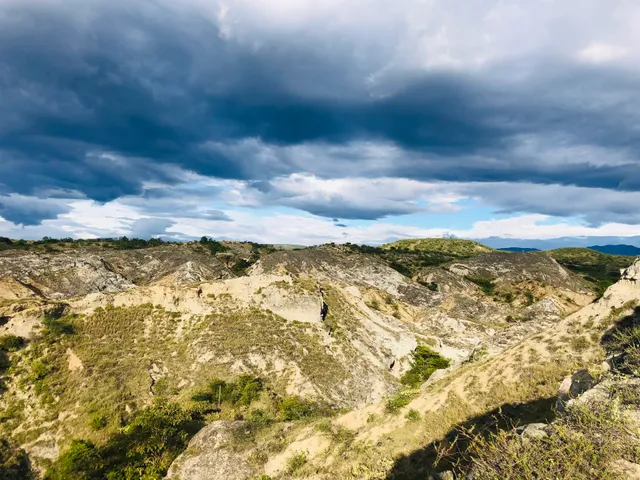 Valle De Los Xilópalos