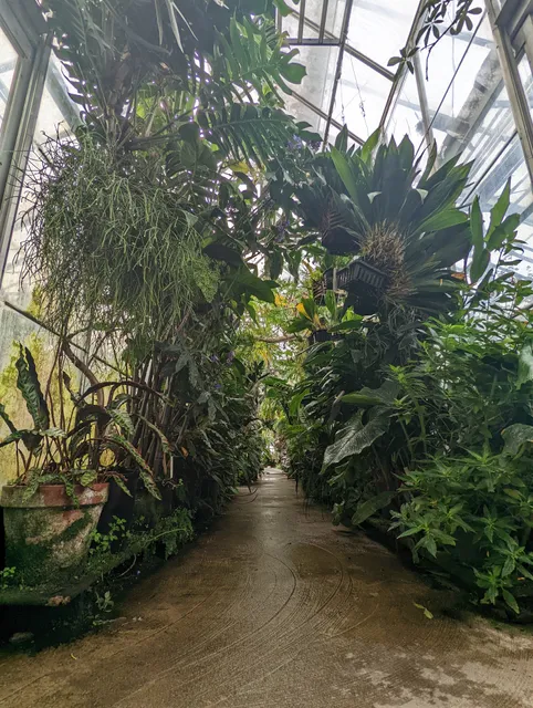 UC Davis Botanical Conservatory