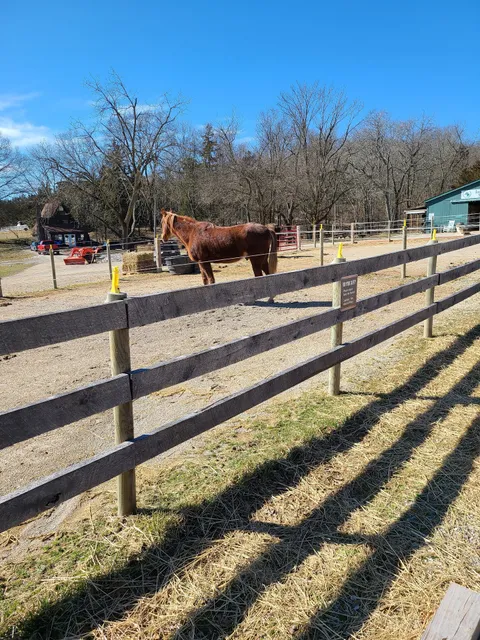 Innsbrook Resort Stables