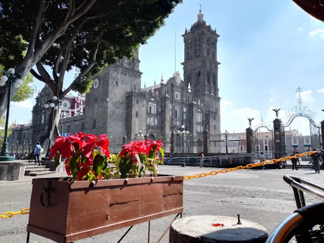 Tortas MECHE Restaurante-Bar