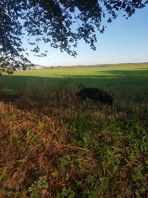 Ferienwohnung Alte Schule Klintum