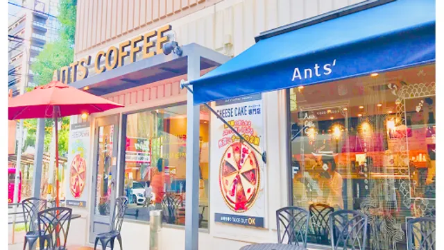 日本のイタメシ居酒屋 あんつ 本町・心斎橋