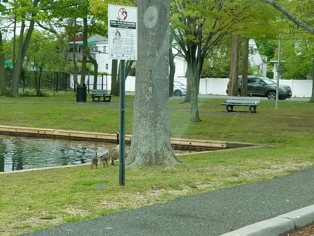 Cammanns Pond County Park