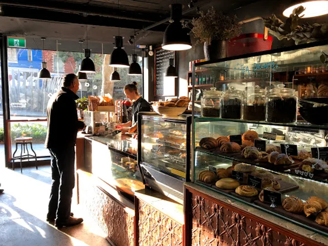 Little Fern on Regent