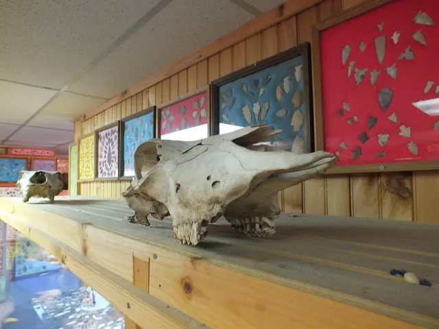 Native American Artifacts