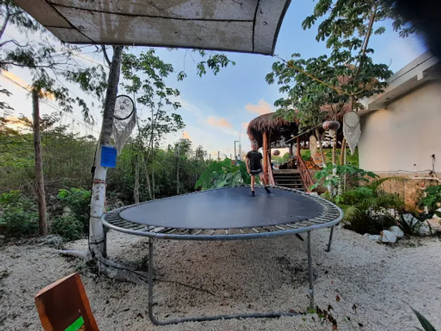 Restaurante y coctelería la tatemada