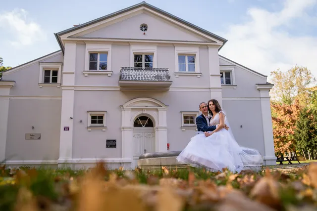 Stado Ogierów w Bogusławicach