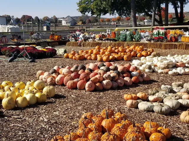 Grim's Orchard & Family Farms