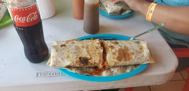 Burros Longos Ashantis