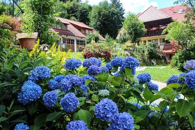 Haghof Seelbach - Reinhold Glatz