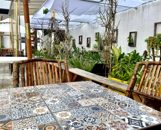 Urban Jungle Collection