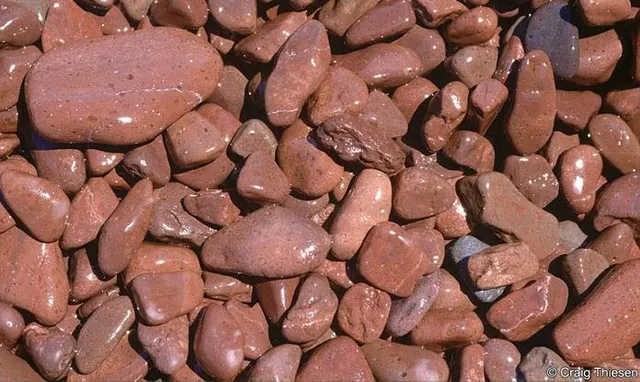 Iona's Beach Scientific and Natural Area