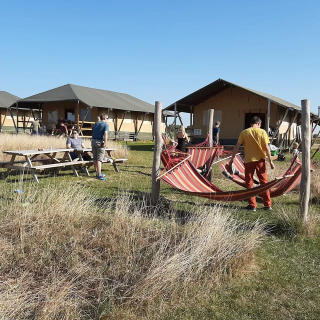 Glamping op het Zeugekot