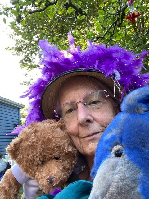 Bearland Teddy Bear & Stuffy Hospital