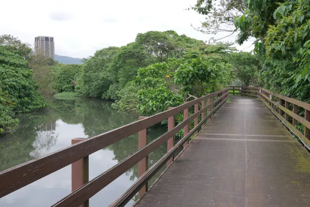 舊雙溪河步道