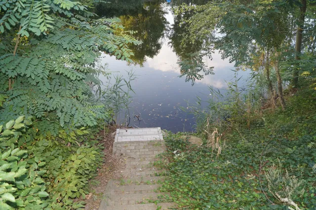 Ferienhaus am Waldsee