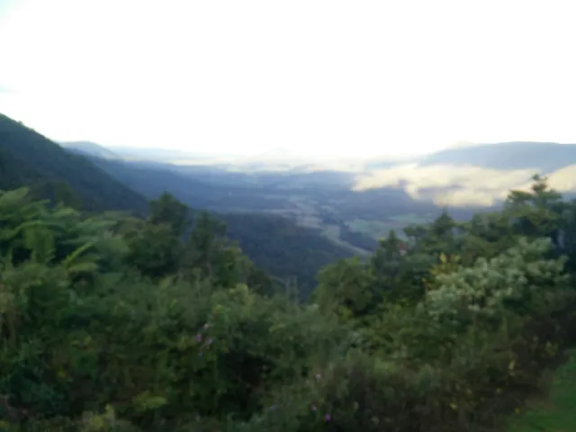 Eungella Mountain Edge Escape