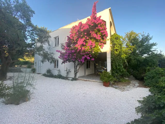 Olive Garden Apartments