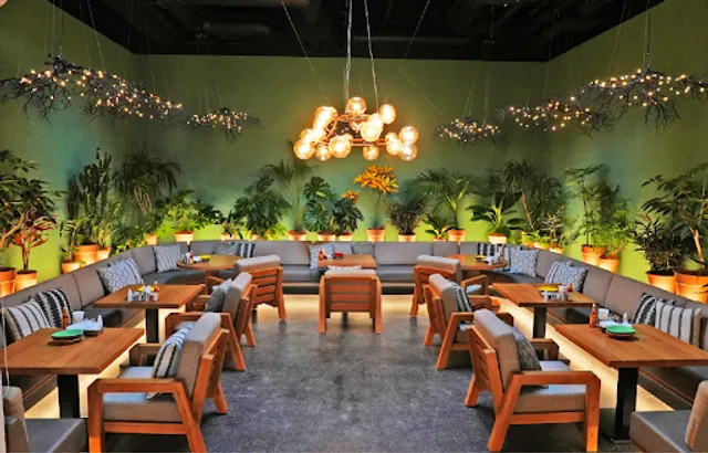 Café Iguana MEXICAN GRILL