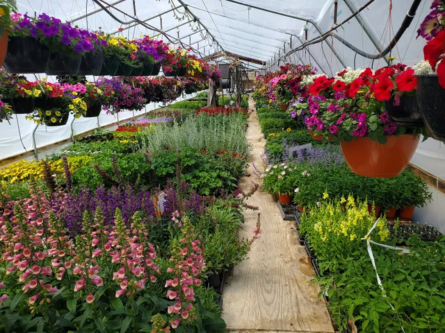 Elder's Greenhouse and Garden