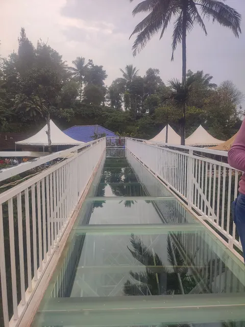 Madikeri Misty Homestay