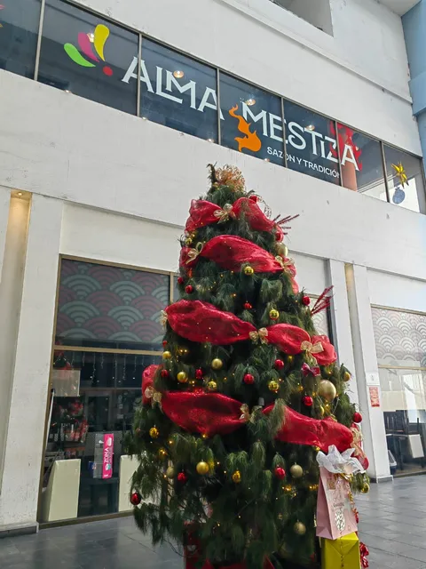 Alma Mestiza - Sazón y Tradición