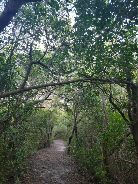 Boyscout hiking trail