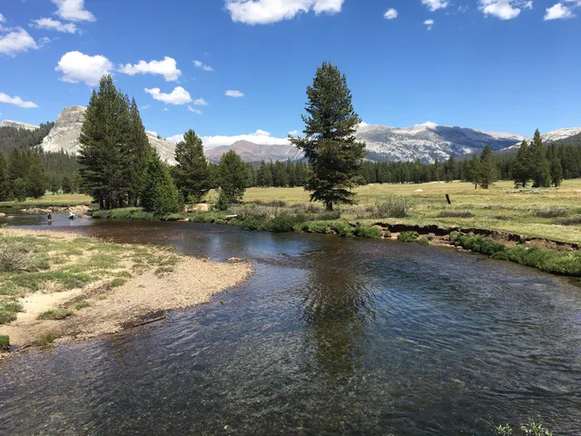 Tuolumne Meadows
