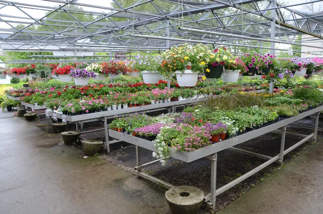 Ropps Flower Factory Inc.