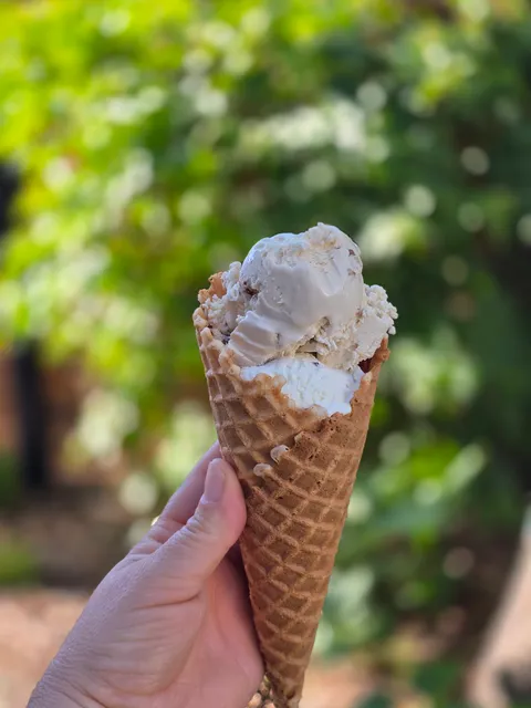 Packer Family Ice Cream