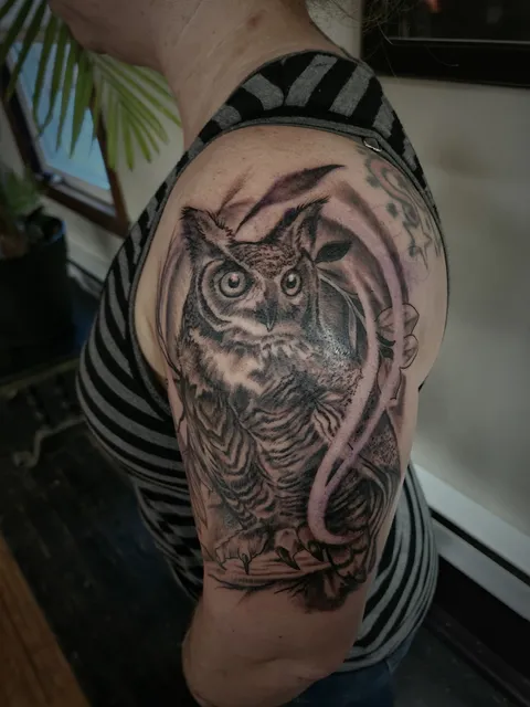 Alley Cat Tattoo Studio