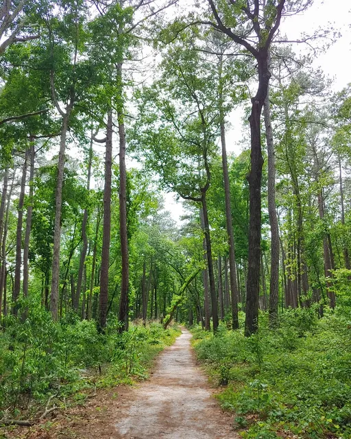 Stoney Creek North Greenway