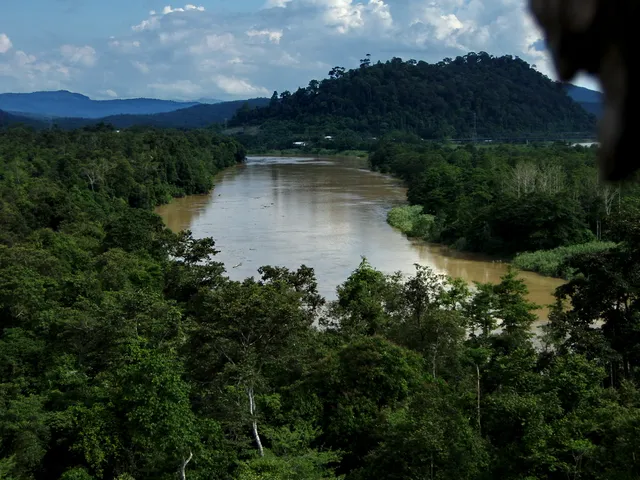 Mukim Batu Puteh Kinabatangan Tourism Cooperative