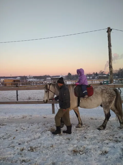 Equestrian club "Russian space"