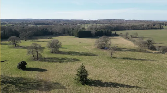 Ross & Friends Dog Experience