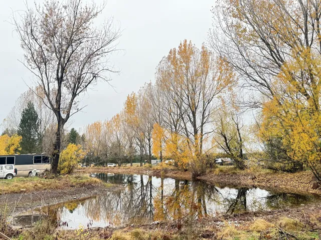 Lake Wardel Campsite