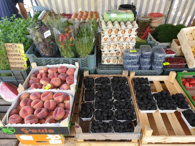 Warzywniak "U Chłopaków" (MAF-ZR)