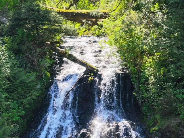 Munson Creek Falls
