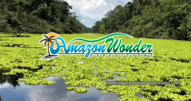 Amazon Wonder Expeditions