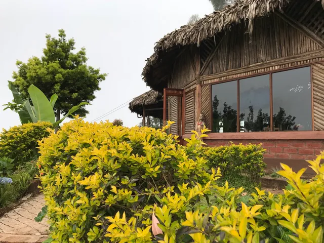 Mt. Kilimanjaro View Lodge Ltd